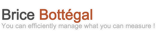 Brice Bottégal - You can efficiently manage what you can measure !